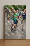 Evenement foto: Nijmeegse Vierdaagse 959