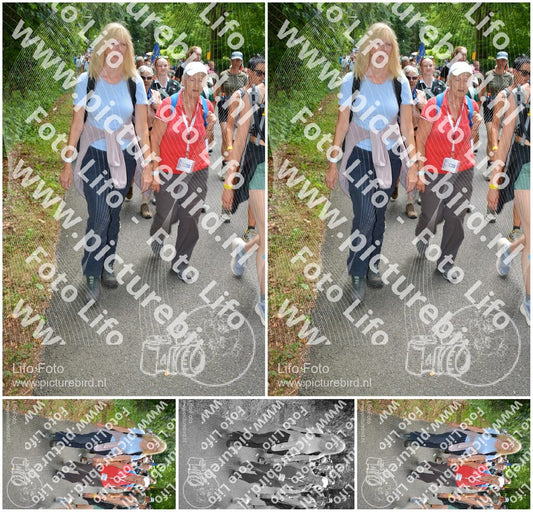 Evenement foto: Nijmeegse Vierdaagse 959