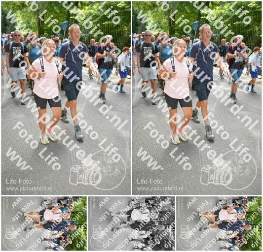 Evenement foto: Nijmeegse Vierdaagse 959