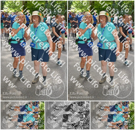 Evenement foto: Nijmeegse Vierdaagse 959