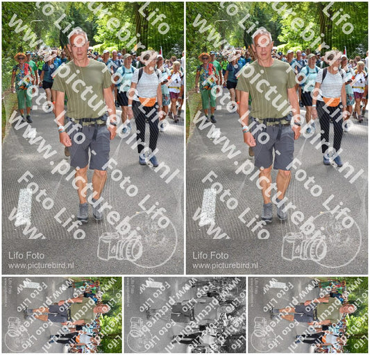 Evenement foto: Nijmeegse Vierdaagse 959