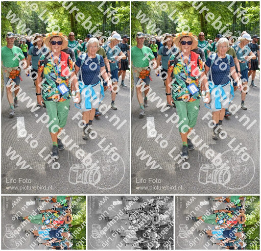 Evenement foto: Nijmeegse Vierdaagse 959