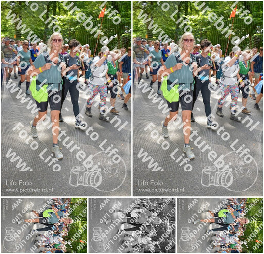 Evenement foto: Nijmeegse Vierdaagse 959