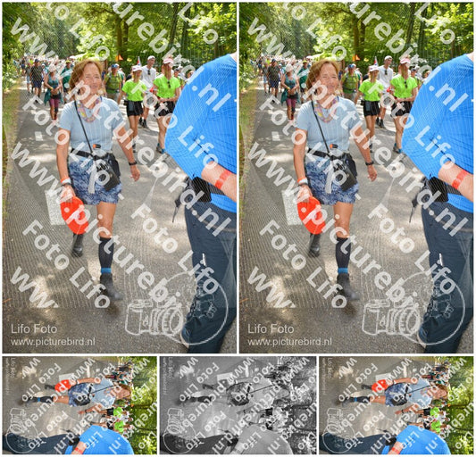 Evenement foto: Nijmeegse Vierdaagse 959