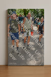 Evenement foto: Nijmeegse Vierdaagse 959