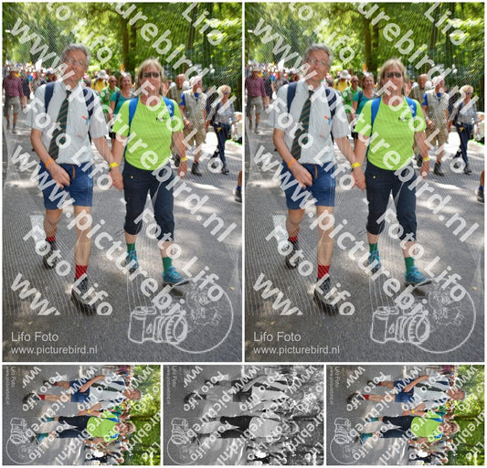 Evenement foto: Nijmeegse Vierdaagse 959
