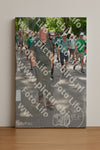 Evenement foto: Nijmeegse Vierdaagse 959