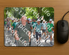 Evenement foto: Nijmeegse Vierdaagse 959