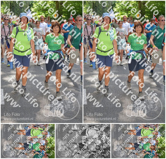 Evenement foto: Nijmeegse Vierdaagse 959
