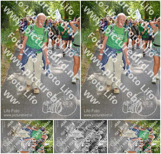 Evenement foto: Nijmeegse Vierdaagse 959