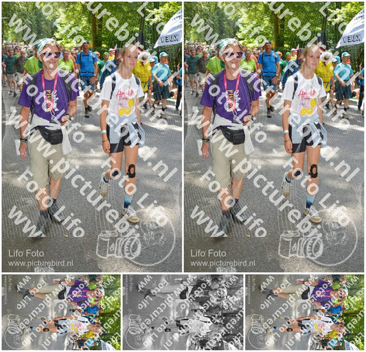 Evenement foto: Nijmeegse Vierdaagse 959