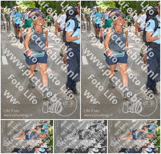 Evenement foto: Nijmeegse Vierdaagse 958