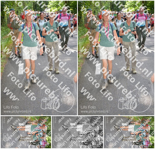 Evenement foto: Nijmeegse Vierdaagse 958