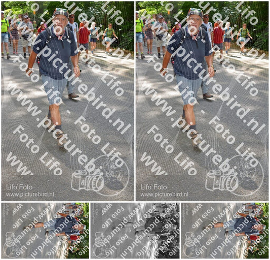 Evenement foto: Nijmeegse Vierdaagse 958