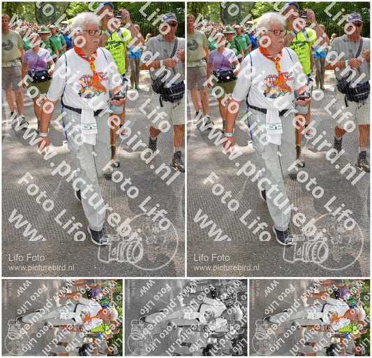Evenement foto: Nijmeegse Vierdaagse 958