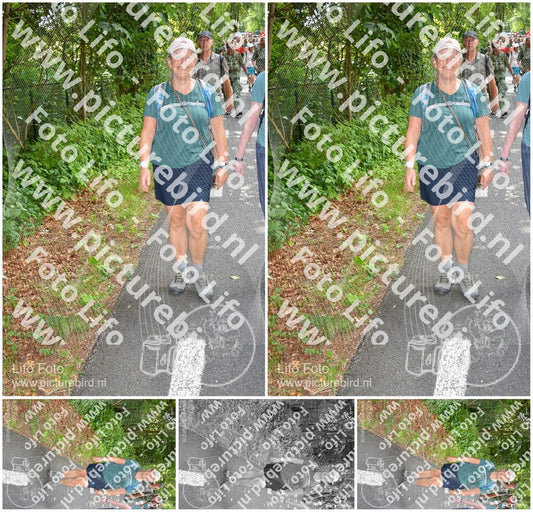 Evenement foto: Nijmeegse Vierdaagse 958