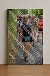 Evenement foto: Nijmeegse Vierdaagse 958