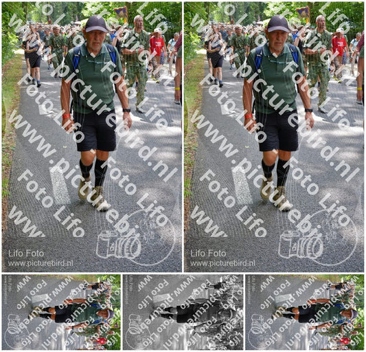 Evenement foto: Nijmeegse Vierdaagse 958