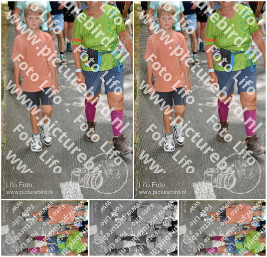 Evenement foto: Nijmeegse Vierdaagse 958