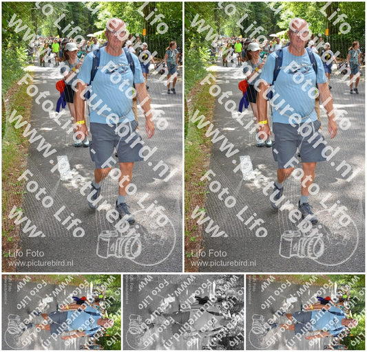 Evenement foto: Nijmeegse Vierdaagse 958