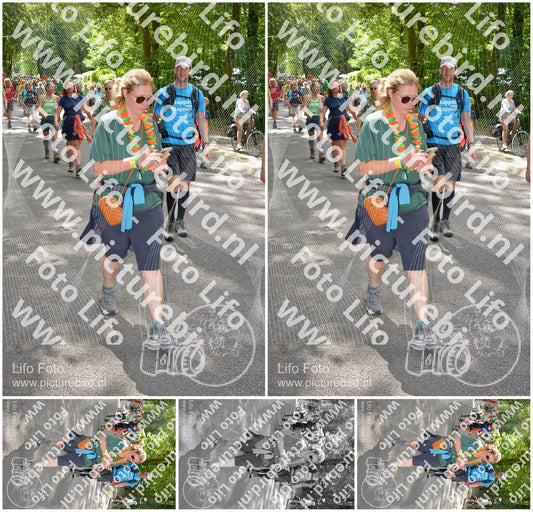 Evenement foto: Nijmeegse Vierdaagse 958