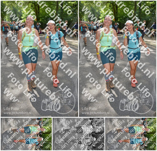 Evenement foto: Nijmeegse Vierdaagse 958