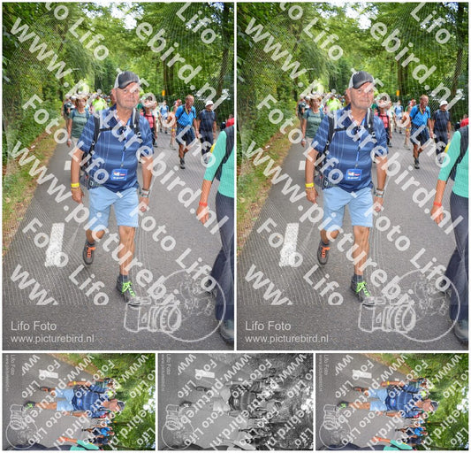 Evenement foto: Nijmeegse Vierdaagse 958