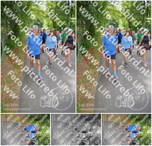 Evenement foto: Nijmeegse Vierdaagse 958