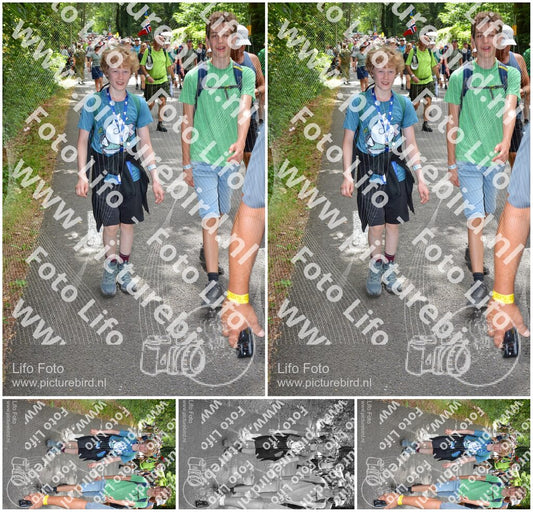 Evenement foto: Nijmeegse Vierdaagse 958