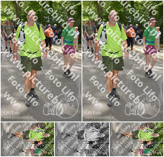 Evenement foto: Nijmeegse Vierdaagse 958