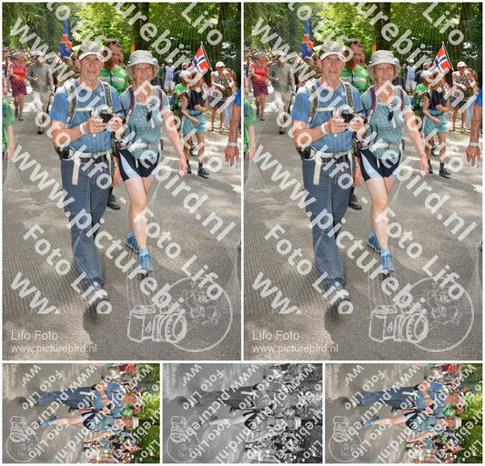 Evenement foto: Nijmeegse Vierdaagse 958