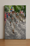 Evenement foto: Nijmeegse Vierdaagse 958