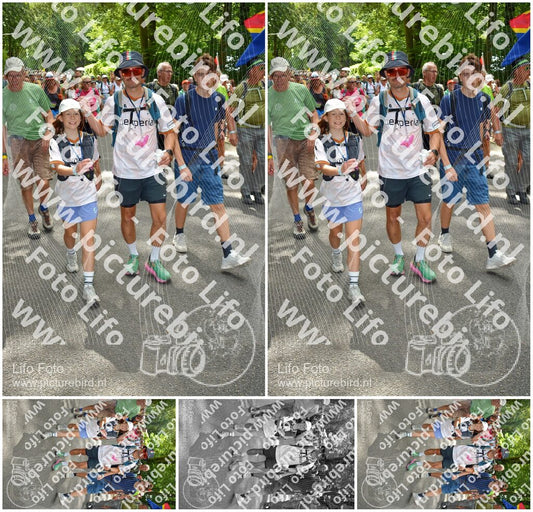 Evenement foto: Nijmeegse Vierdaagse 958