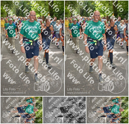 Evenement foto: Nijmeegse Vierdaagse 958
