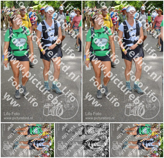 Evenement foto: Nijmeegse Vierdaagse 958