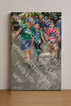 Evenement foto: Nijmeegse Vierdaagse 958
