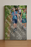 Evenement foto: Nijmeegse Vierdaagse 958