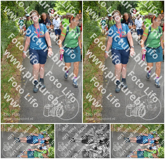 Evenement foto: Nijmeegse Vierdaagse 958