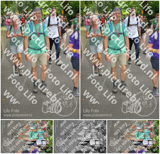 Evenement foto: Nijmeegse Vierdaagse 958
