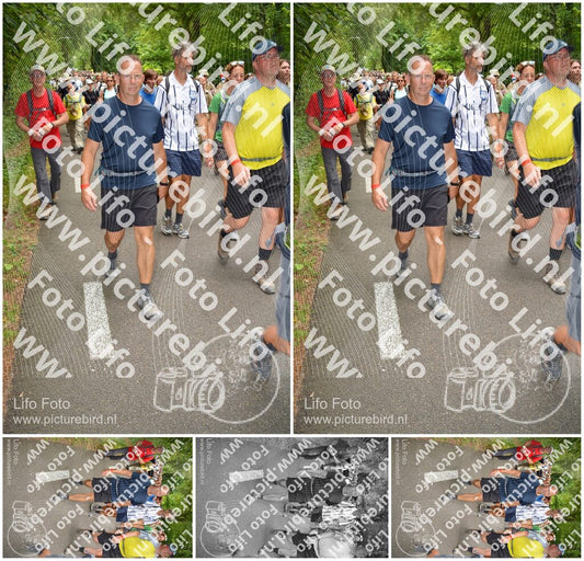 Evenement foto: Nijmeegse Vierdaagse 958