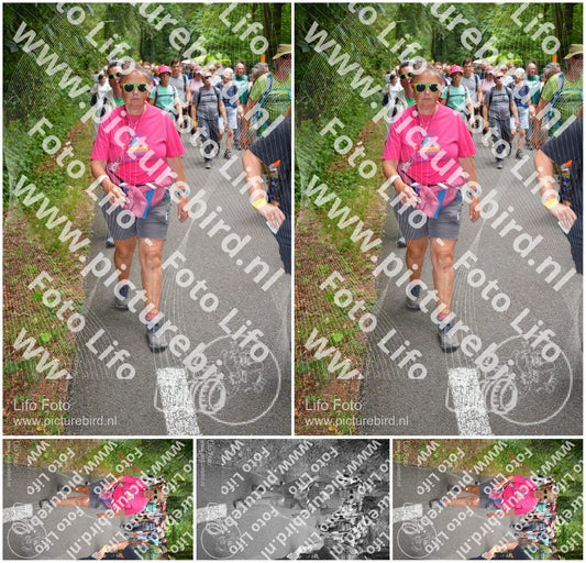 Evenement foto: Nijmeegse Vierdaagse 958