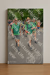 Evenement foto: Nijmeegse Vierdaagse 958
