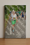 Evenement foto: Nijmeegse Vierdaagse 958
