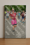 Evenement foto: Nijmeegse Vierdaagse 958