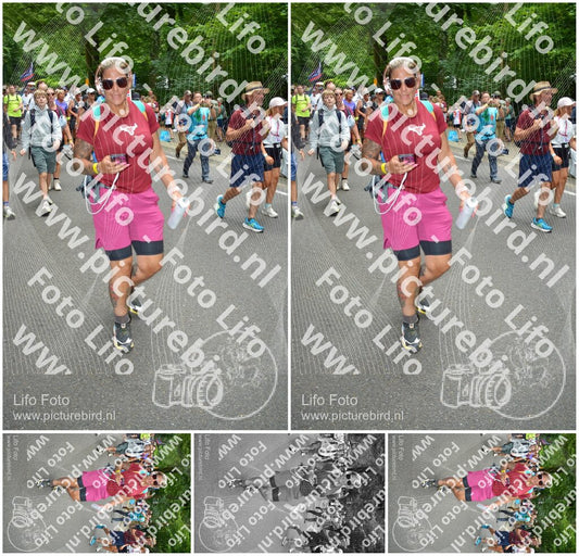 Evenement foto: Nijmeegse Vierdaagse 958