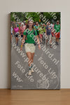 Evenement foto: Nijmeegse Vierdaagse 958