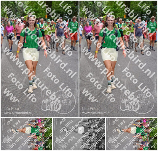 Evenement foto: Nijmeegse Vierdaagse 958