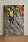 Evenement foto: Nijmeegse Vierdaagse 957