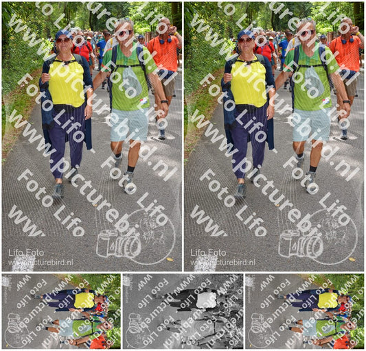 Evenement foto: Nijmeegse Vierdaagse 957