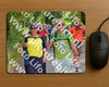 Evenement foto: Nijmeegse Vierdaagse 957
